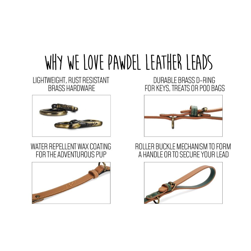 why-we-love-pawdel-leather-leads