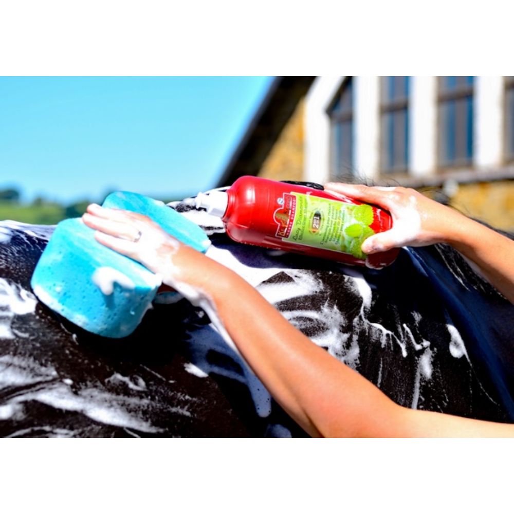 Kevin-bacons-lucy-diamonds-green-shampoo-for-horses