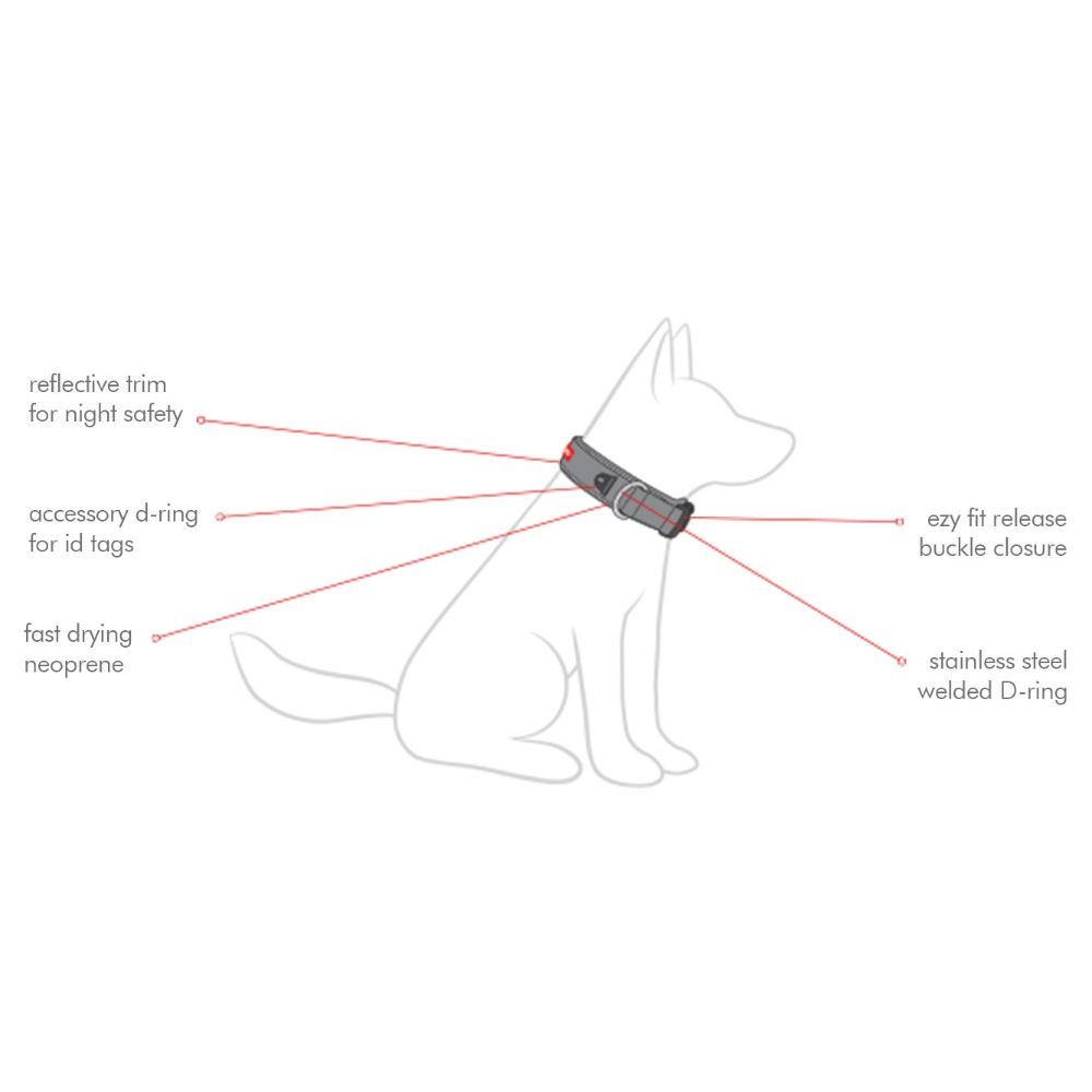 EzyDog Neo Classic Dog Collar