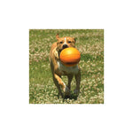 Nylabone-basketball-gripz