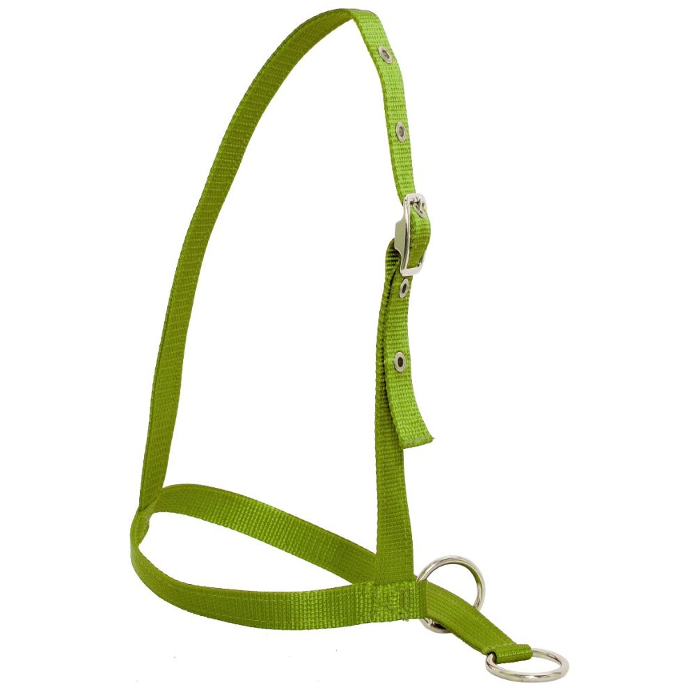 Nylon Web Calf Halter - Leading Style