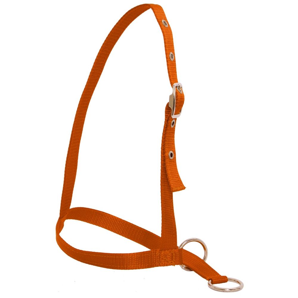 Nylon Web Calf Halter - Leading Style