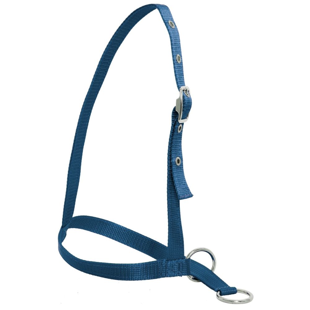 Nylon Web Calf Halter - Leading Style