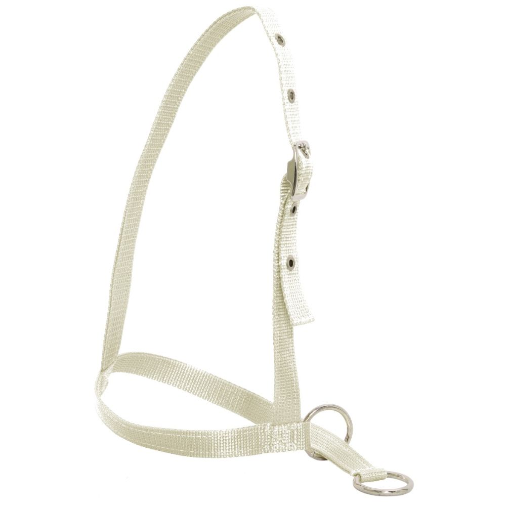 Nylon Web Calf Halter - Leading Style