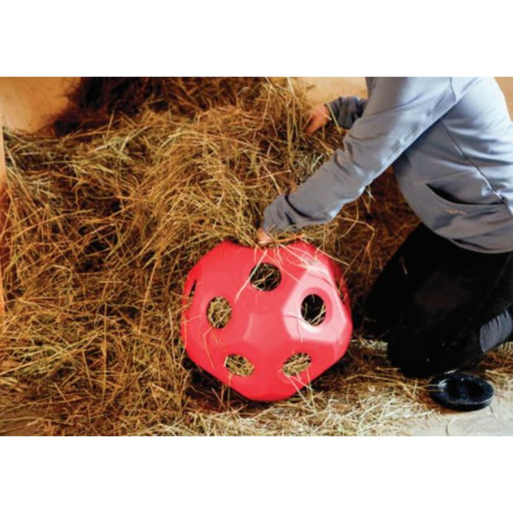 Horse Toy Hayball