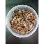 Dried-Crickets-100g