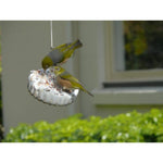 topflite-wild-bird-gourmet-hanging-treat