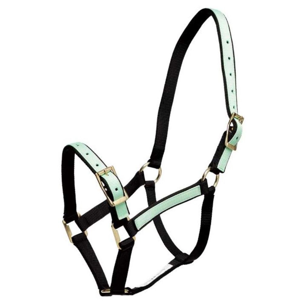 Zilco-Overlay-Halter-mint-black