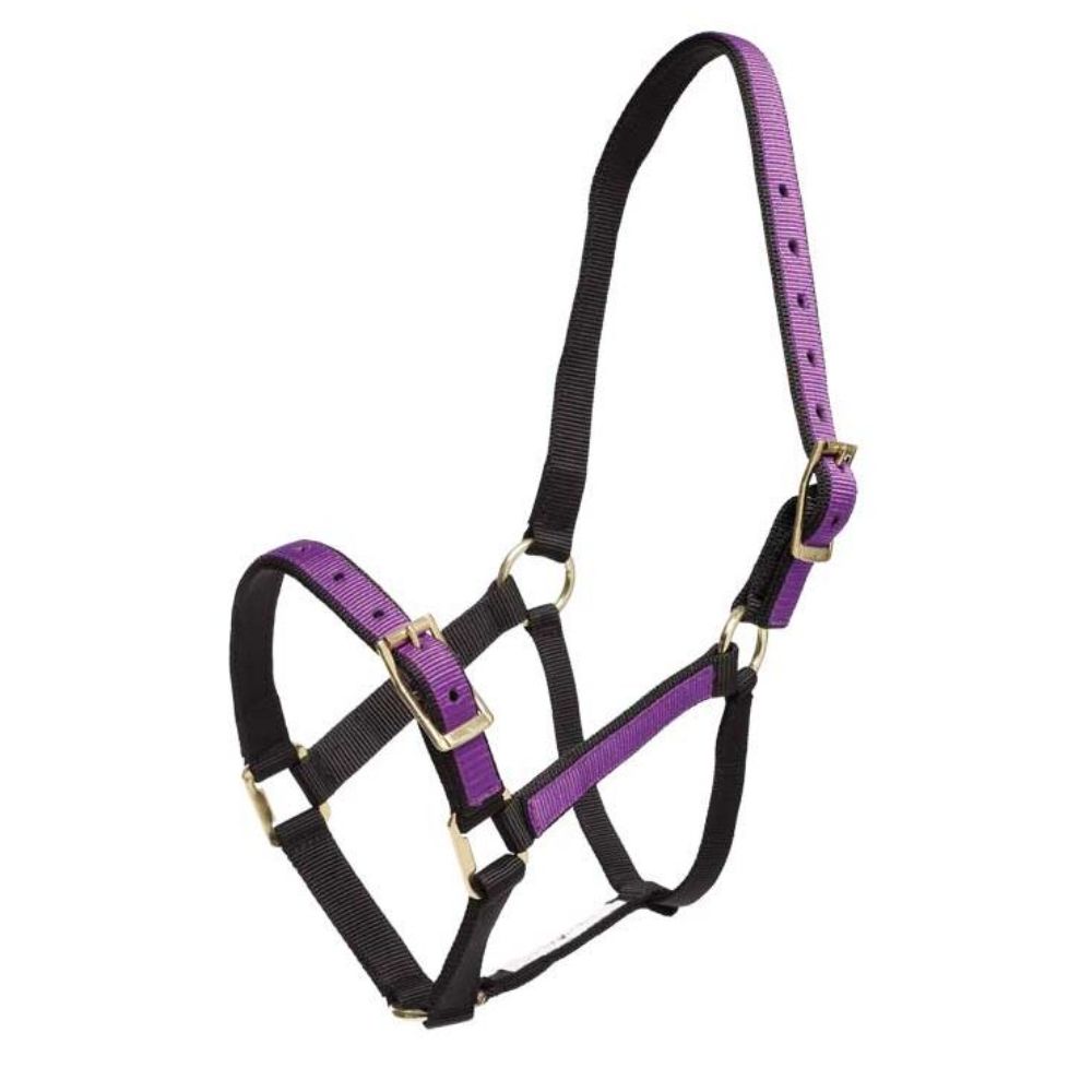 zilco-overlay-halter-lavendar-black