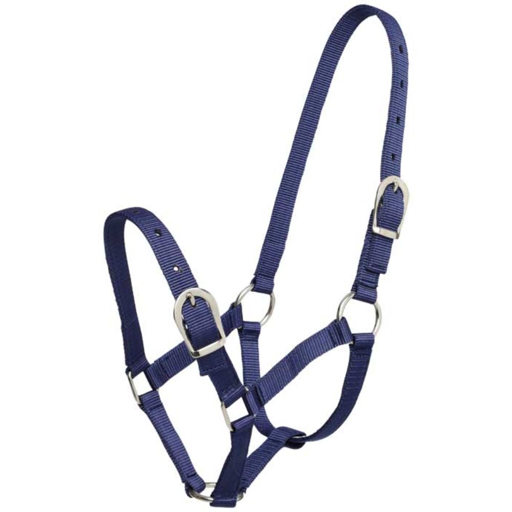 small-pony-halter-navy