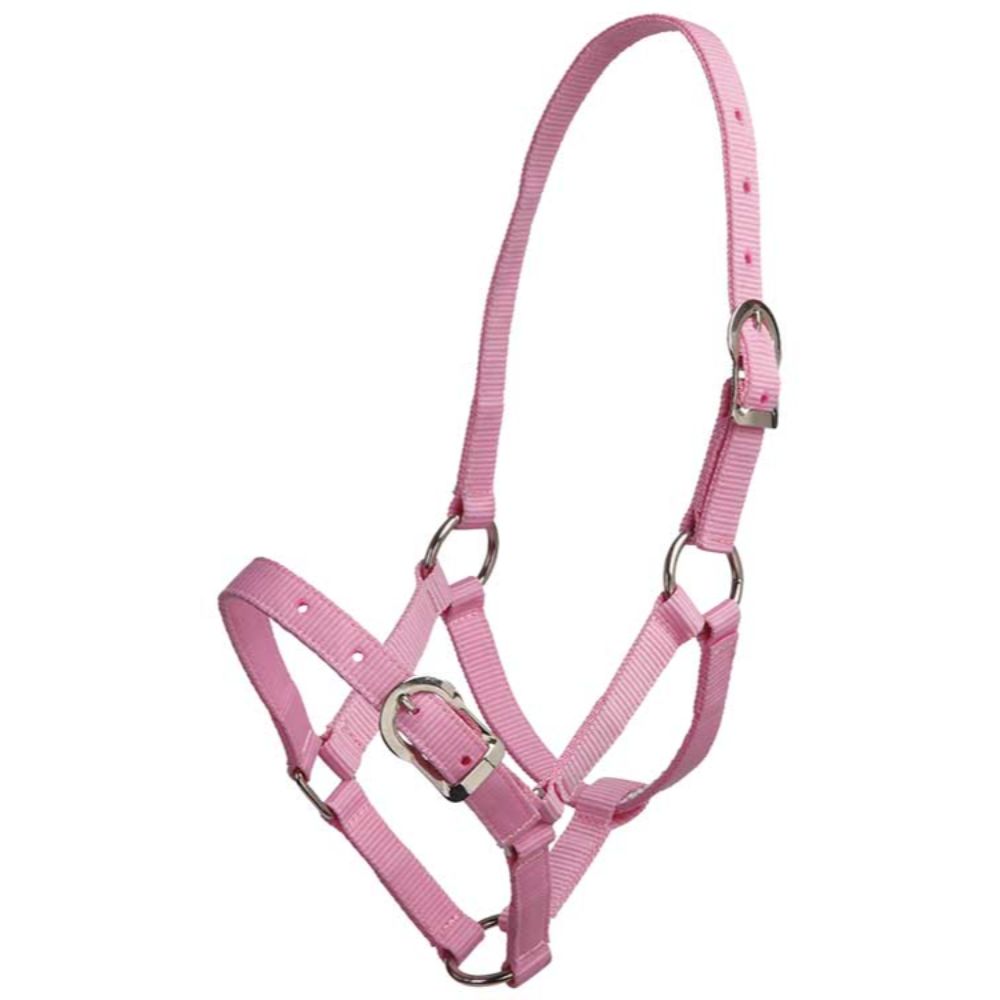 small-pony-halter-pink
