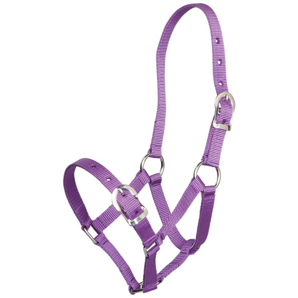 mall-pony-halter-purple