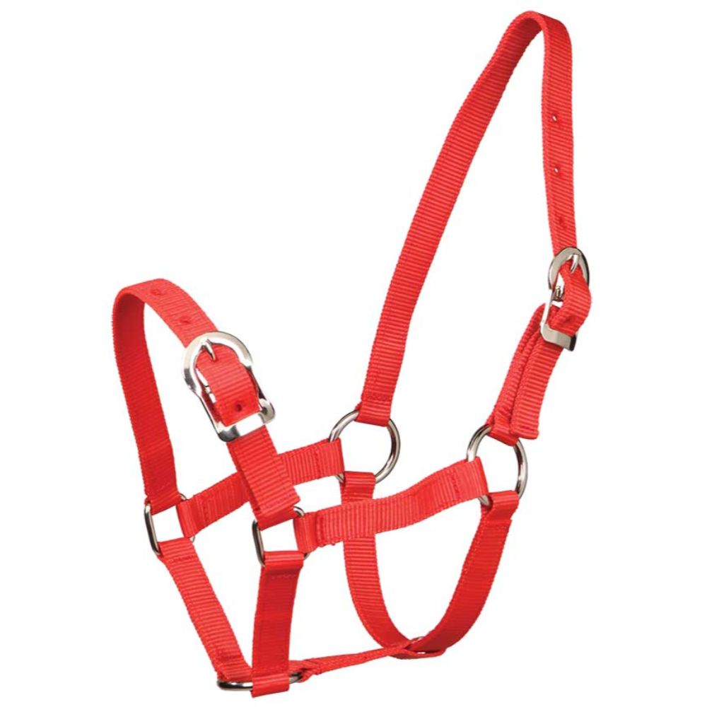 small-pony-halter-red