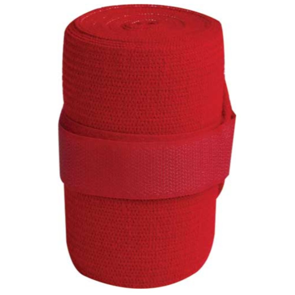 Aintree-tail-bandage